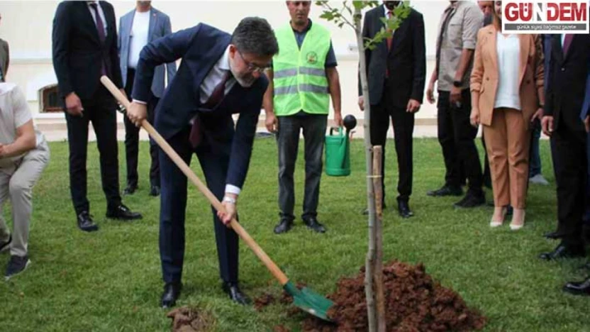 Yeşil Vatan seferberliği hız kesmiyor: 517 milyon fidan dikildi