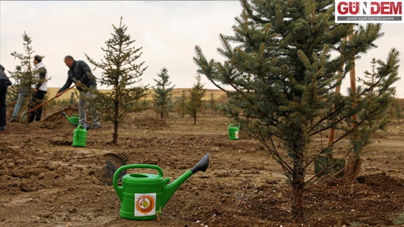 Yumaklı'dan vatandaşa çağrı: 'Şölen Havasında Fidan Dikelim'