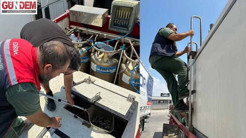 Yunanistan'a gönderilecek canlı balıklar ihracat öncesi kontrolden geçti