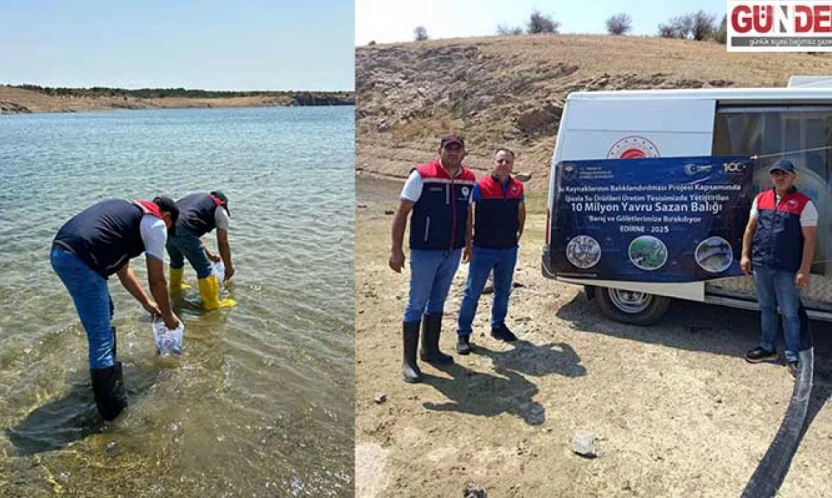 1 milyon 844 bin pullu sazan yavruları Kırklareli'ndeki göletlere bırakıldı