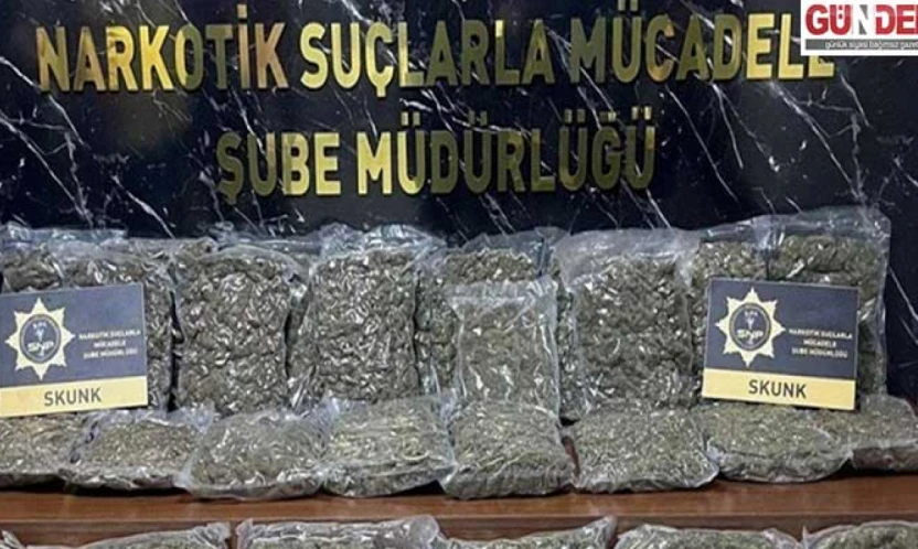 40 kilogram skunk ele geçirildi