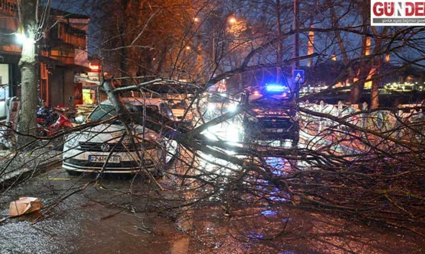 Ağaç park halindeki otomobilin üzerine devrildi