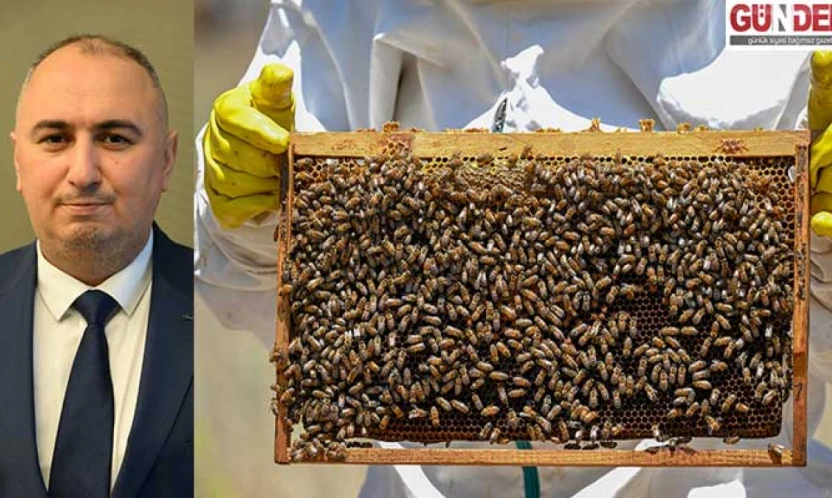 Coğrafi işaret balların niteliğini ve katma değerini arttırıyor