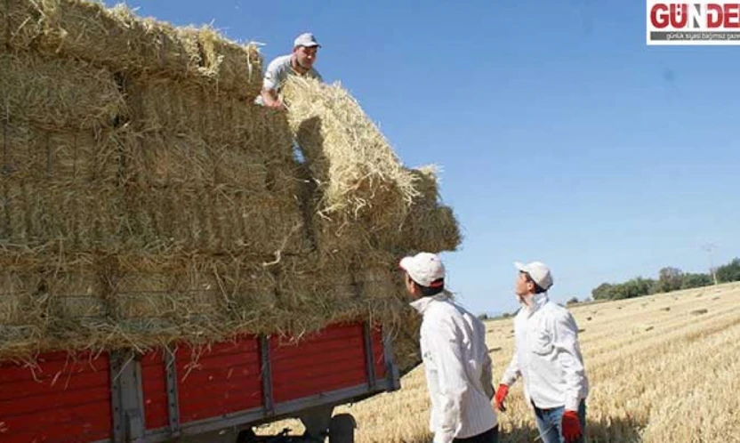 Edirne'de çeltik saplarından yakıt