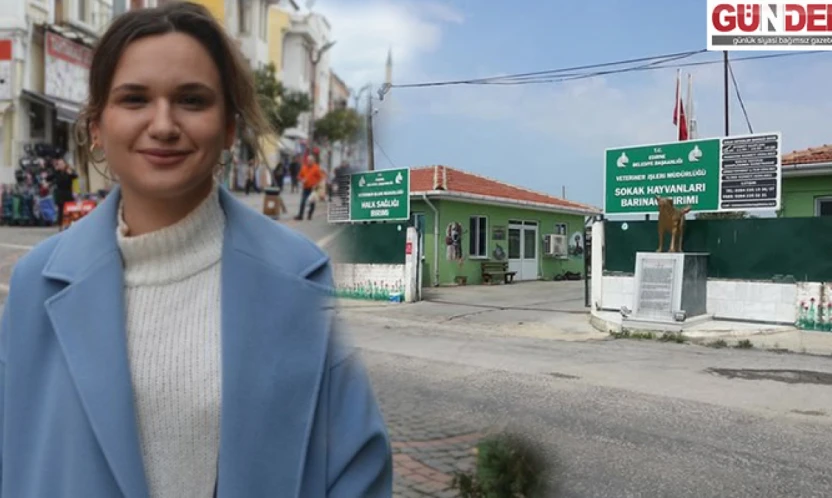 Edirne'de hayvan ölümleri sonrası belediye eleştiriliyor