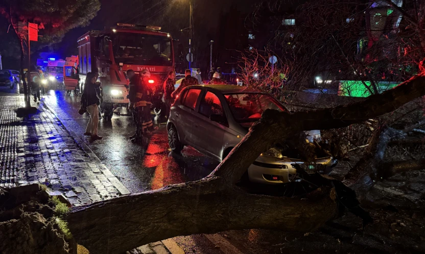 Edirne'de seyir halindeki otomobilin üzerine ağaç devrildi