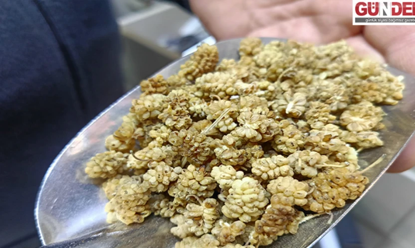 Faydasını duyan aktara koşuyor