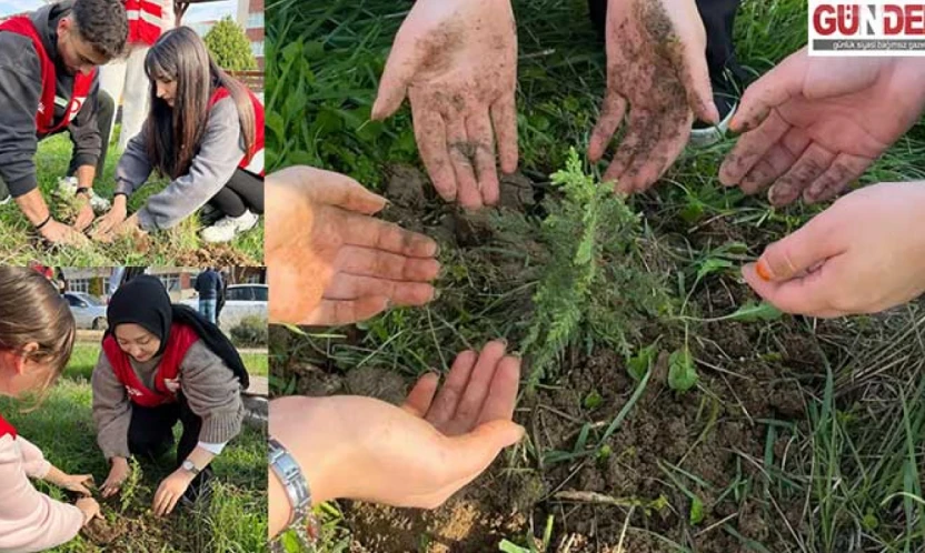 Genç Kızılay'dan etkinlik fidanlar toprakla buluştu