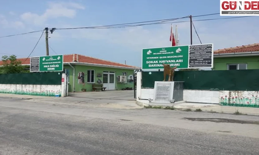 Gözaltına alınan belediye personeli serbest bırakıldı