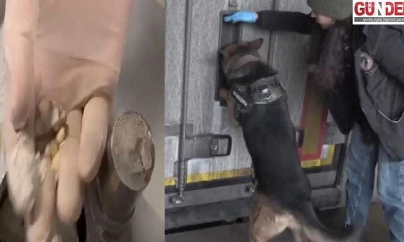 Gümrükler Muhafaza ekipleri zehir tacirlerine göz açtırmıyor