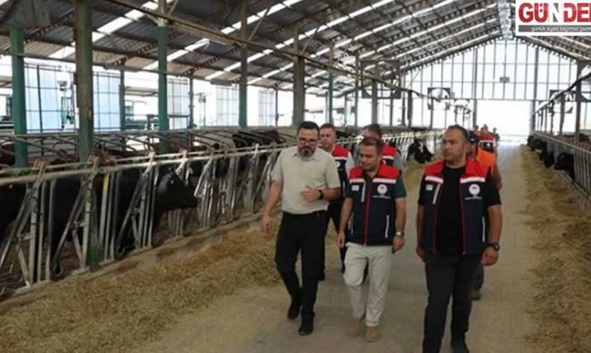 Hayvan sağlığı için yoğun mesai