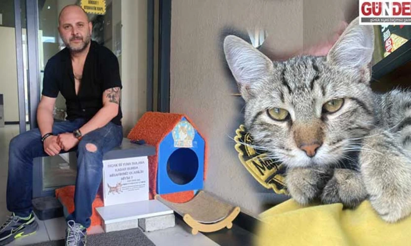Herkes bir parça getirdi, sokaktaki canlar için kedi evi kuruldu