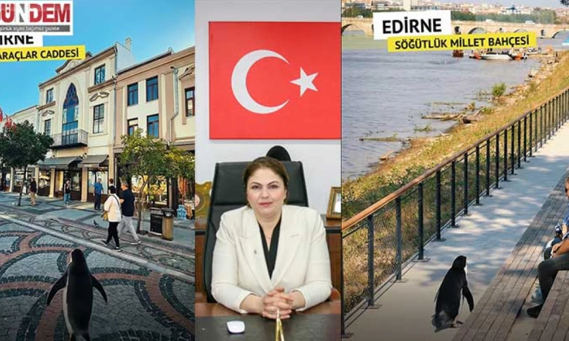 İba'dan Edirne'yi tanıtan 'Nihilist penguen' paylaşımı