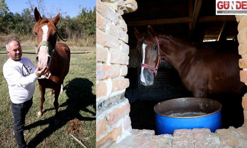 Kanseri yenen eski jokey, köyünde şampiyon atlar yetiştiriyor