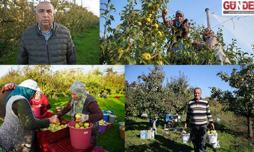 Kuzucu'daki meyve bahçeleri, kent çiftçisine alternatif gelir kaynağı oluyor