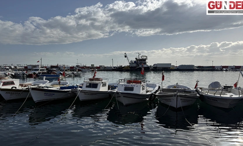 Lodosun ardından balıkçılar ava çıkabildi