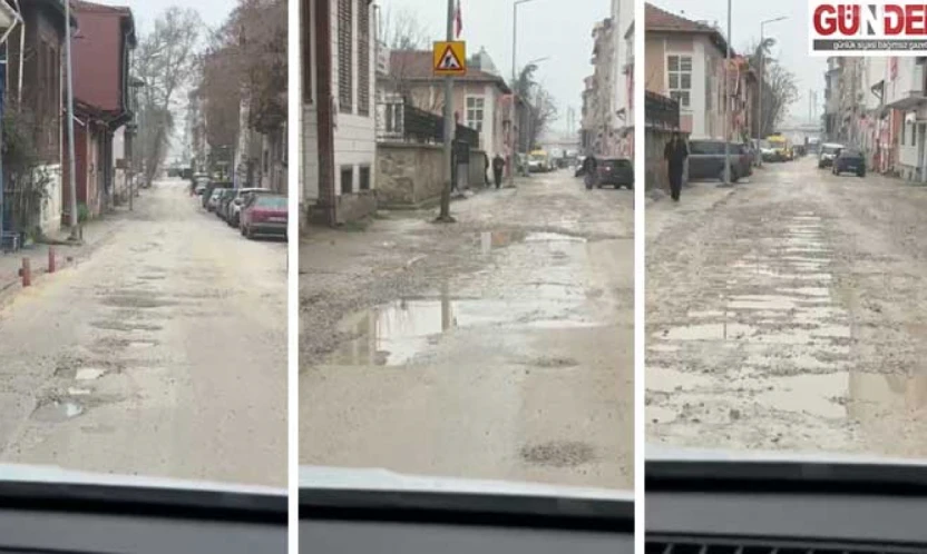 Maarif Caddesi tarlaya döndü