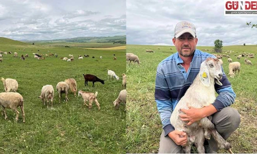 'Mera hayvancılık üretimi için çok önemli'