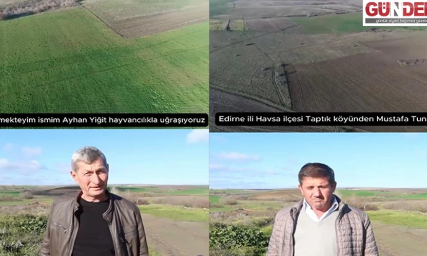 Mera ıslahı hayvancılığa can suyu oldu