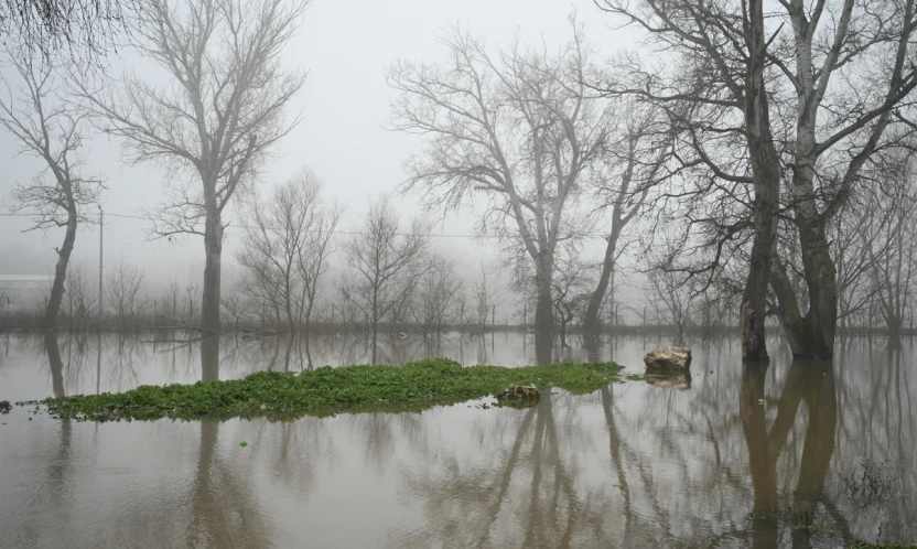 Meriç Nehri'nde risk azalıyor