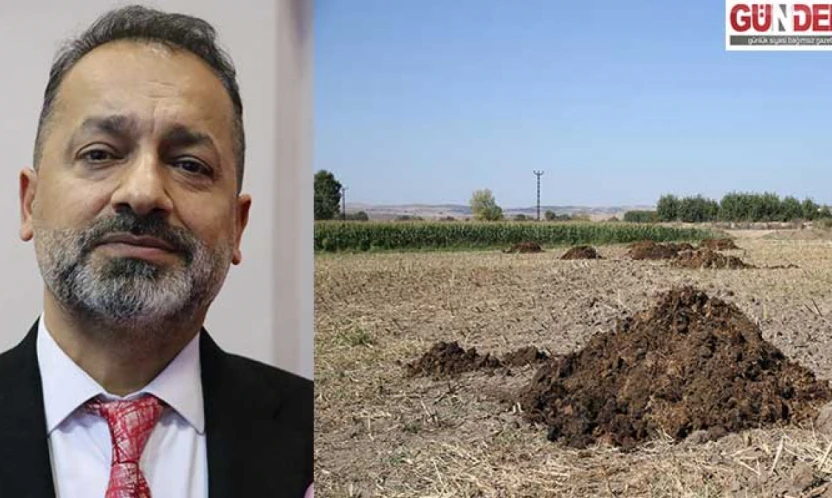 Organik gübreler toprağın su tutma kapasitesini artırıyor