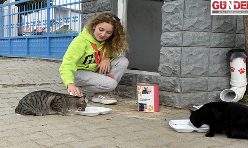 Pelin öğretmen 11 yıldır 'çocuklarım' dediği kedileri besliyor