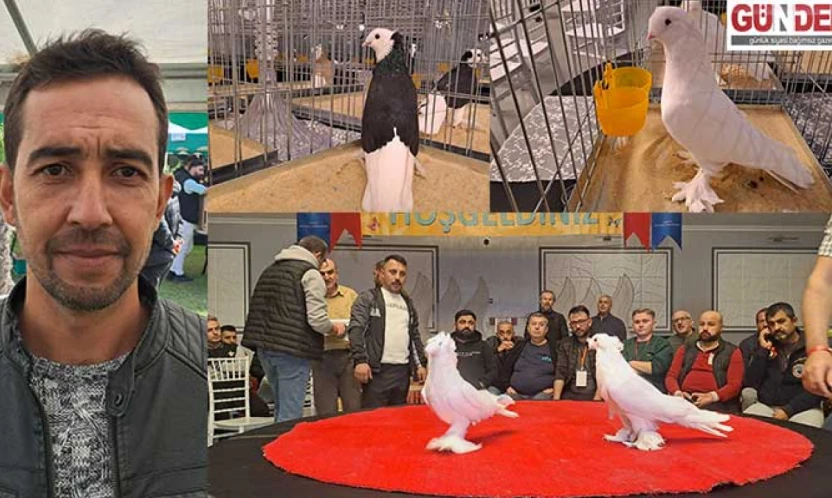 Şanlıdağ, 1200 güvercin ile '6. Tepeli Kostüm Güvercinleri Festivali' katıldı