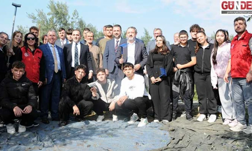 Şarköy'de zeytin hasadı protokol ve vatandaşları buluşturdu