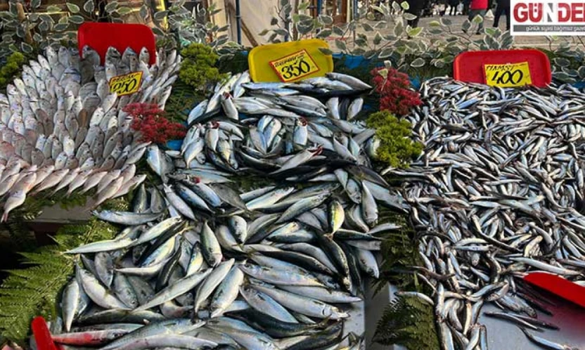 Sıcak hava balık bolluğunu azalttı