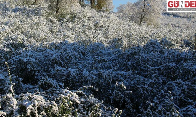 Soğuk hava dalgası Edirne'yi etkisi altına alacak