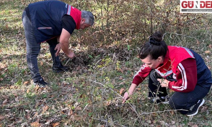 Süne ile mücadele çalışmaları sürüyor