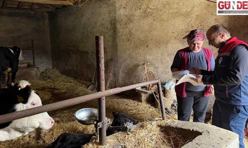Tarım Müdürlüğü'nden hayvancılıkta sıkı takip