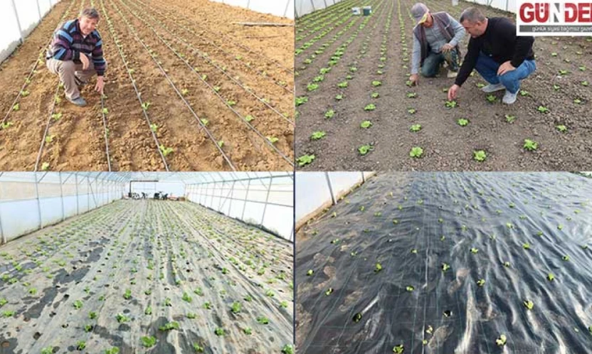 Yeni nesil seralar tarımsal üretime ivme kazandırdı