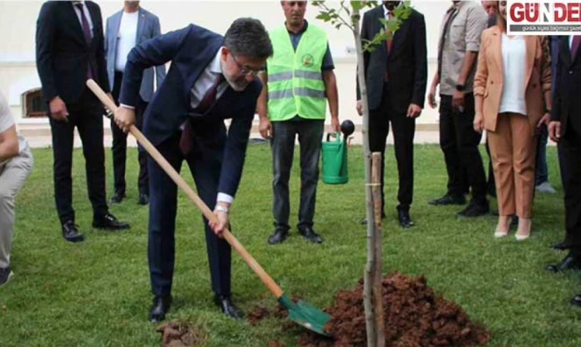 Yeşil Vatan seferberliği hız kesmiyor: 517 milyon fidan dikildi