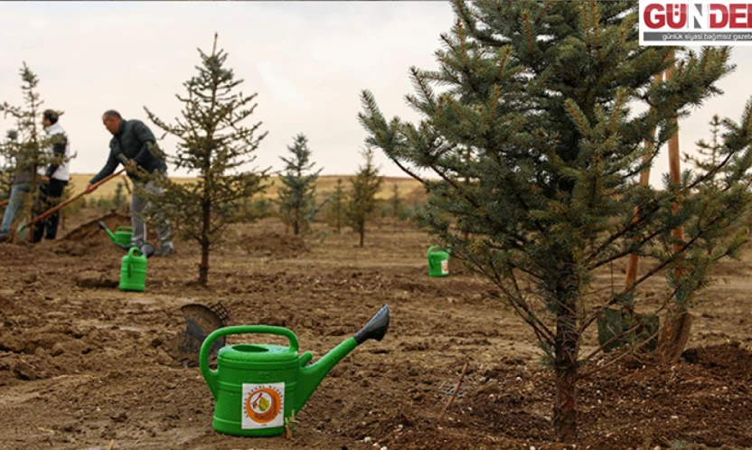 Yumaklı'dan vatandaşa çağrı: 'Şölen Havasında Fidan Dikelim'
